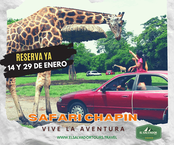 tour safari chapin guatemala Tour Operador y Agencia de viajes, booking hotels, flights, hoteles, vuelos, Car Rental El Salvador ⭐️ El Salvador Tours & Travel